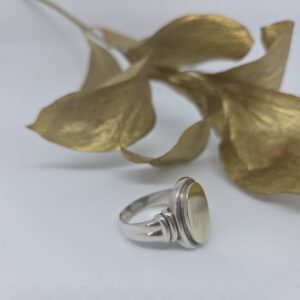 Ring Perser – Bild 3