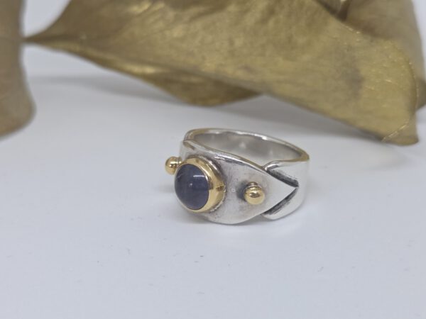 Ring Persepolis