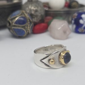 Ring Persepolis – Bild 5